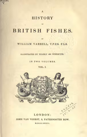 A History of British Fishes