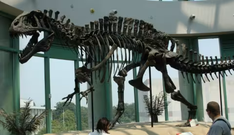 Acrocanthosaurus