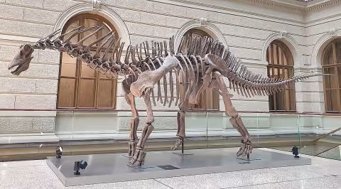 Amargasaurus