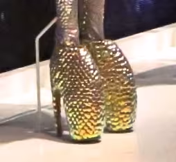 Armadillo shoe