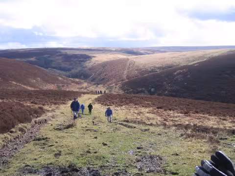 Exmoor