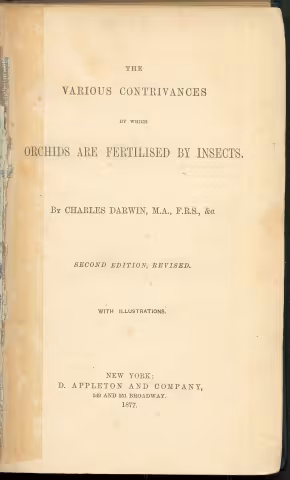 Fertilisation of Orchids