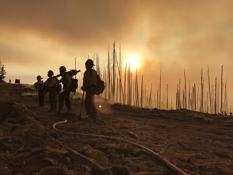 Frye Fire