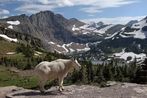 Glacier National Park (U.S.)