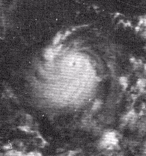 Hurricane Edith (1971)