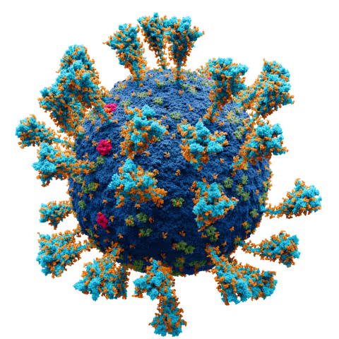Introduction to viruses
