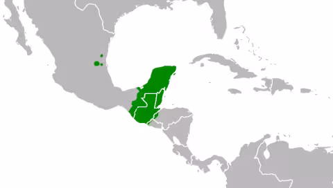 Mayan languages