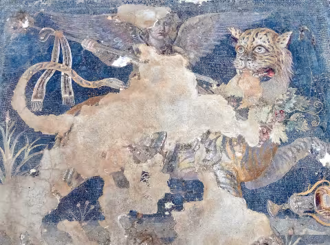 Mosaics of Delos