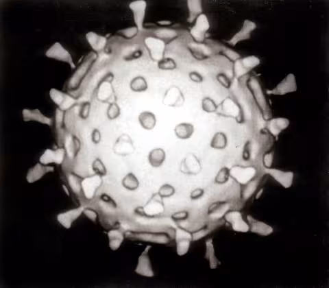 Rotavirus