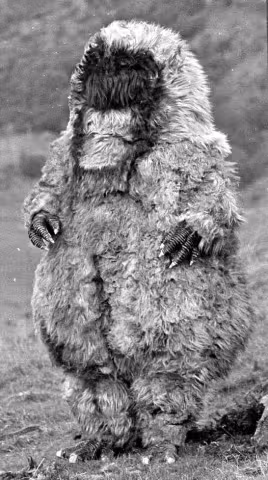Yeti (Doctor Who)