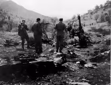 1994 Black Hawk shootdown incident
