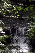 Balch Creek