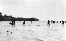 Battle of Tulagi and Gavutu–Tanambogo