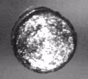 Californium