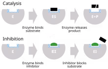 Enzyme inhibitor