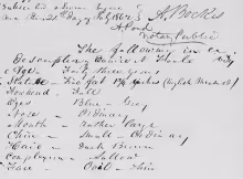 Eunice Newton Foote