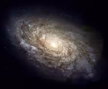 Galaxy