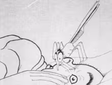 How a Mosquito Operates