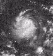 Hurricane Edith (1971)