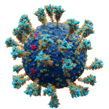Introduction to viruses