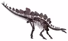 Stegosaurus